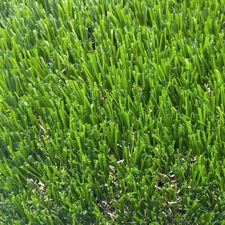 Backyard Artificial Grass Turf Carpet